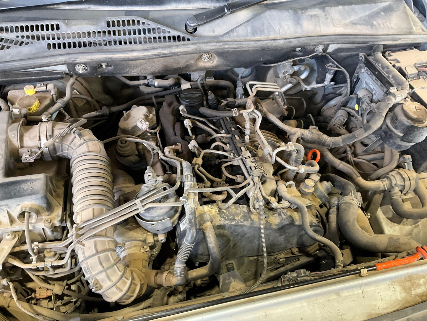 2011 Volkswagen Amarok   Silver
