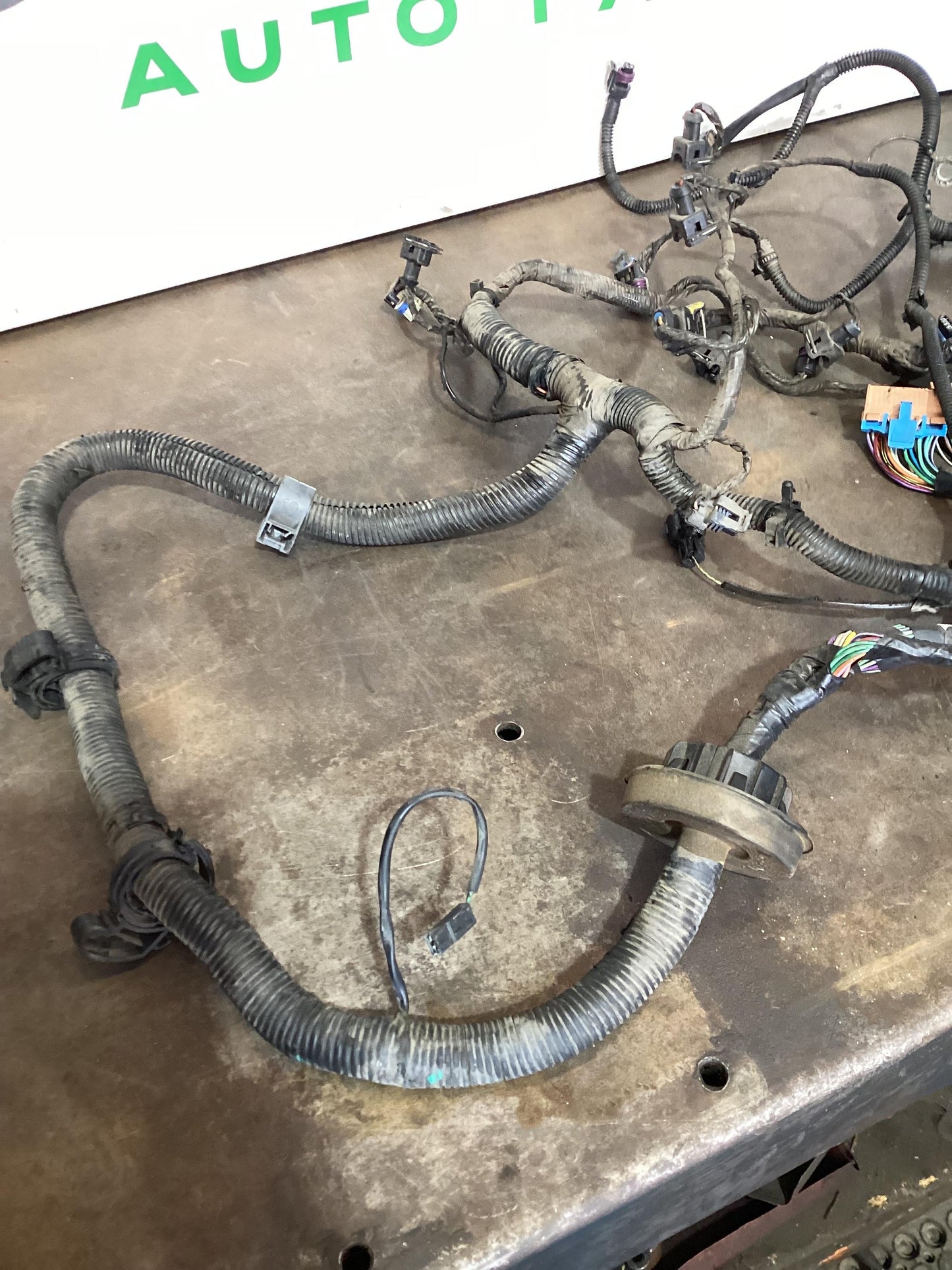 Holden Commodore VY  Engine Wiring Harness 92104414