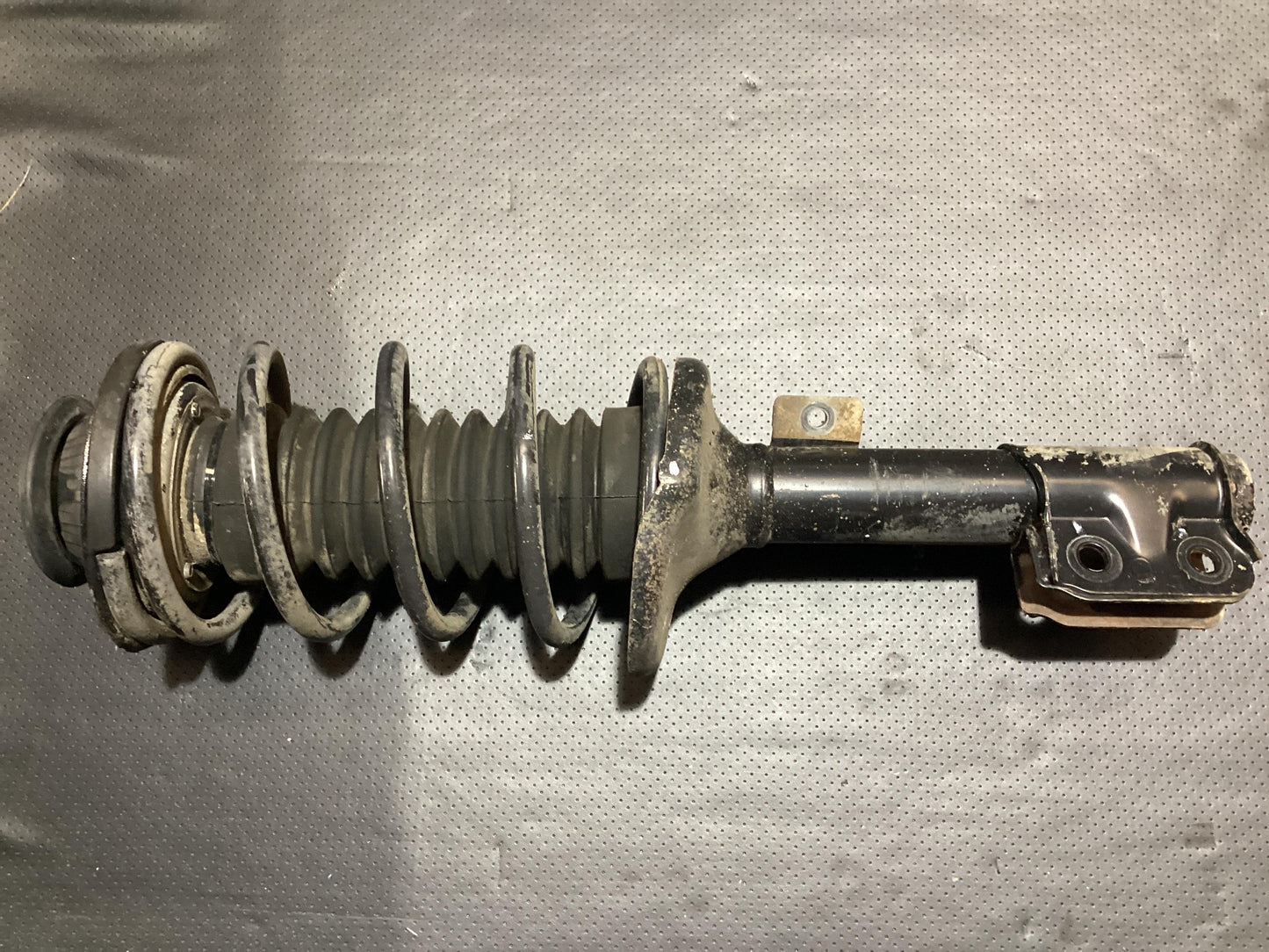 2005, Holden, Commodore, Commodore, Left Front Strut