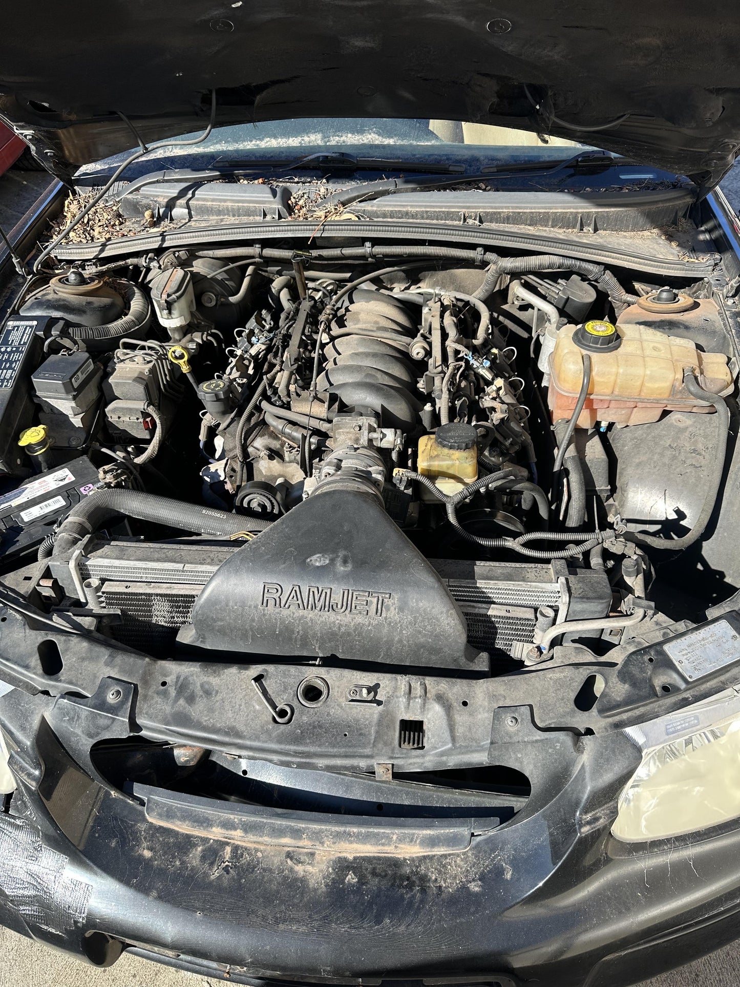 2002 Holden Statesman  WH Black