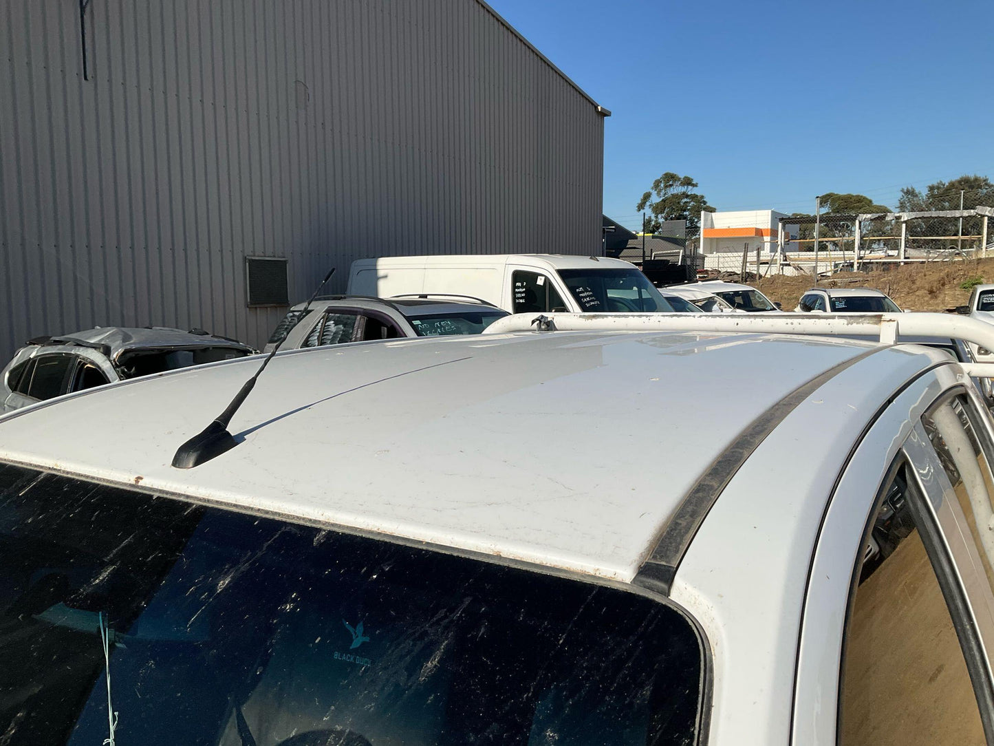 2019 Holden Colorado   White