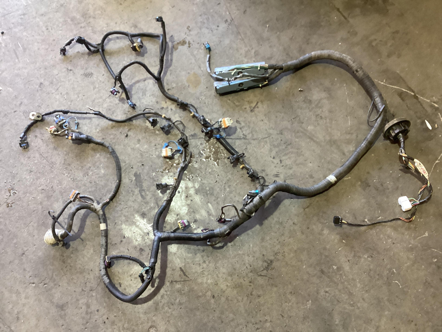 Holden Commodore VY  Engine Wiring Harness