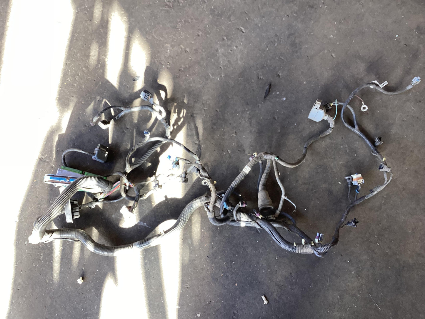 2004 - 2006 Holden Commodore VZ  Engine Wiring Harness
