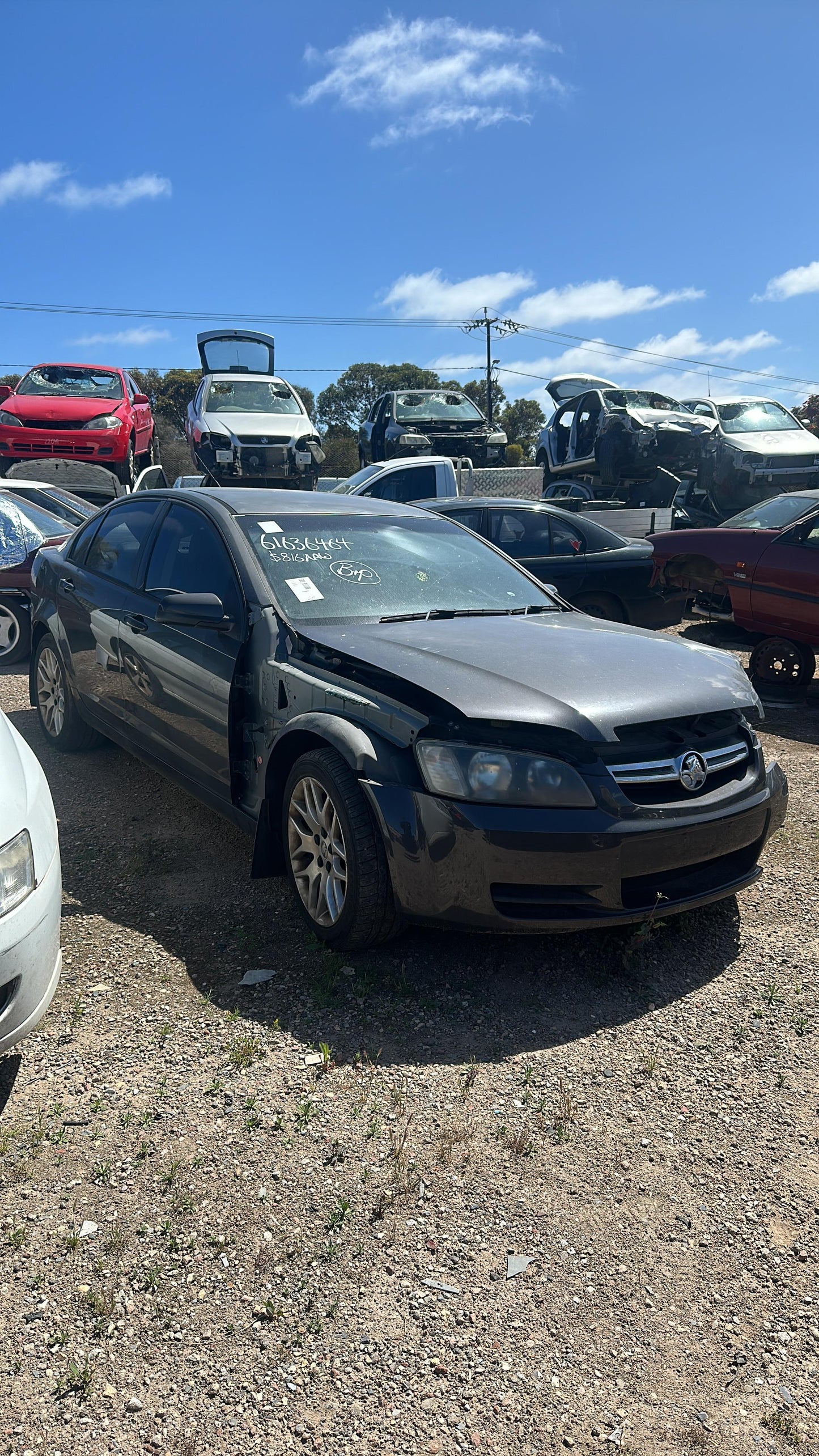 2006 - 2011 Holden Commodore Omega VE Grey