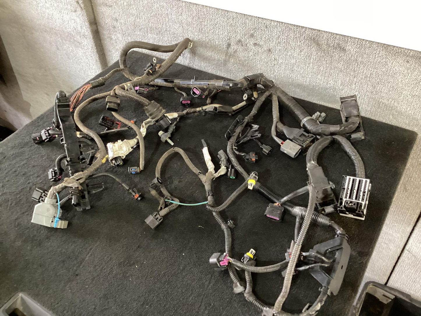 2006 - 2010 Holden Commodore VE  Engine Wiring Harness 92068701