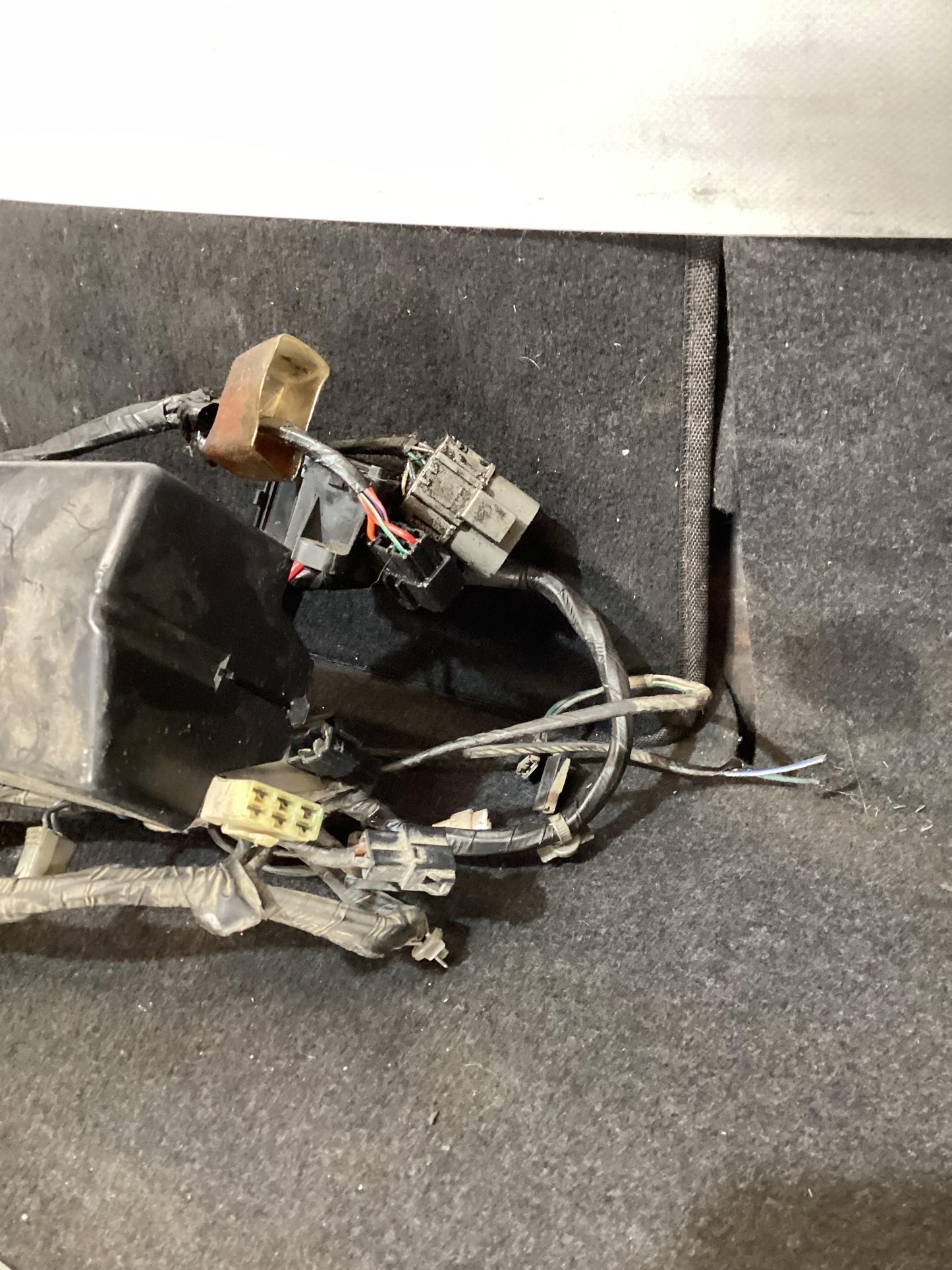Holden Commodore VR  Wiring Harness