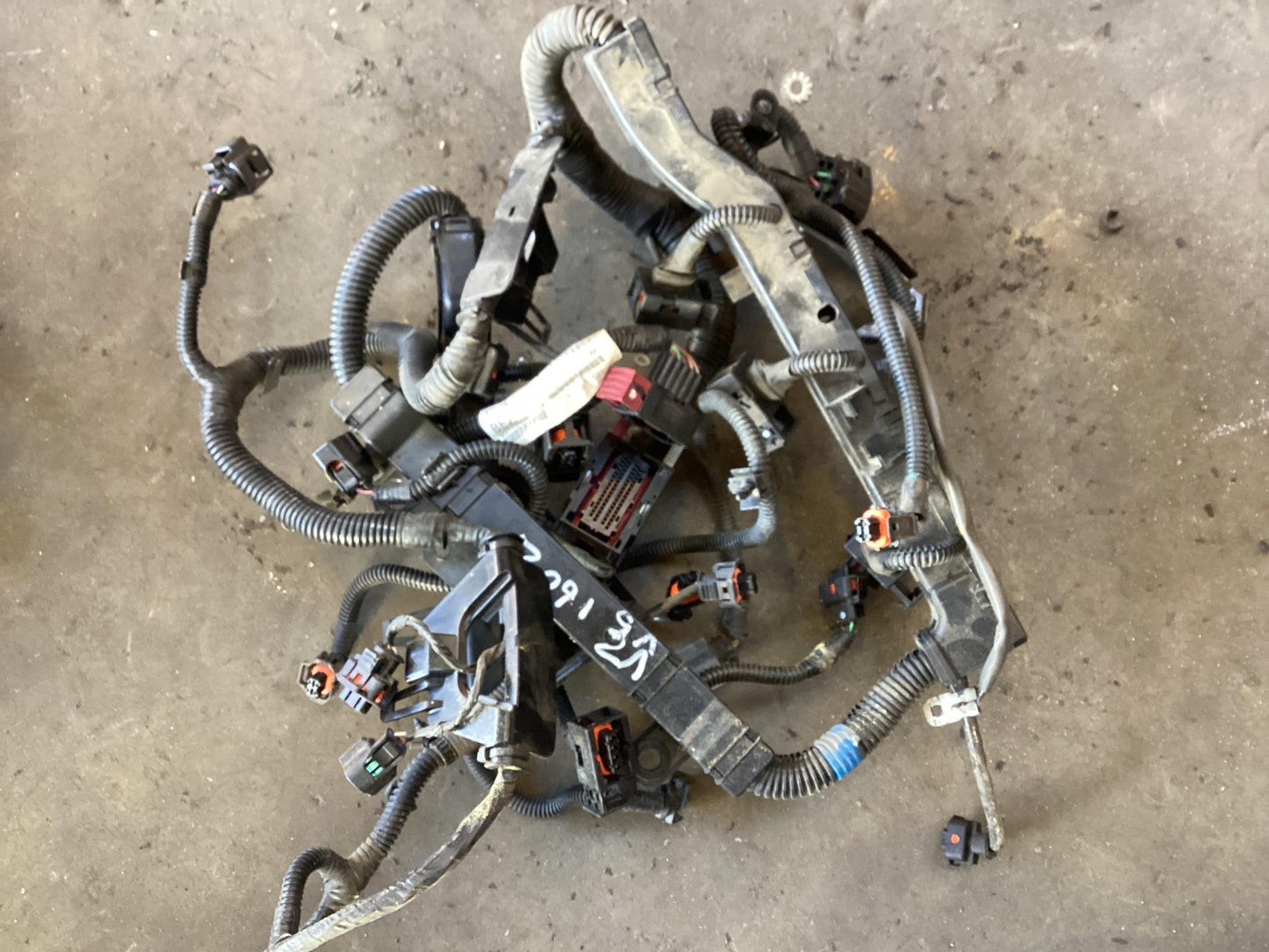 2004 - 2006 Holden Commodore VZ  Engine Wiring Harness 92172069