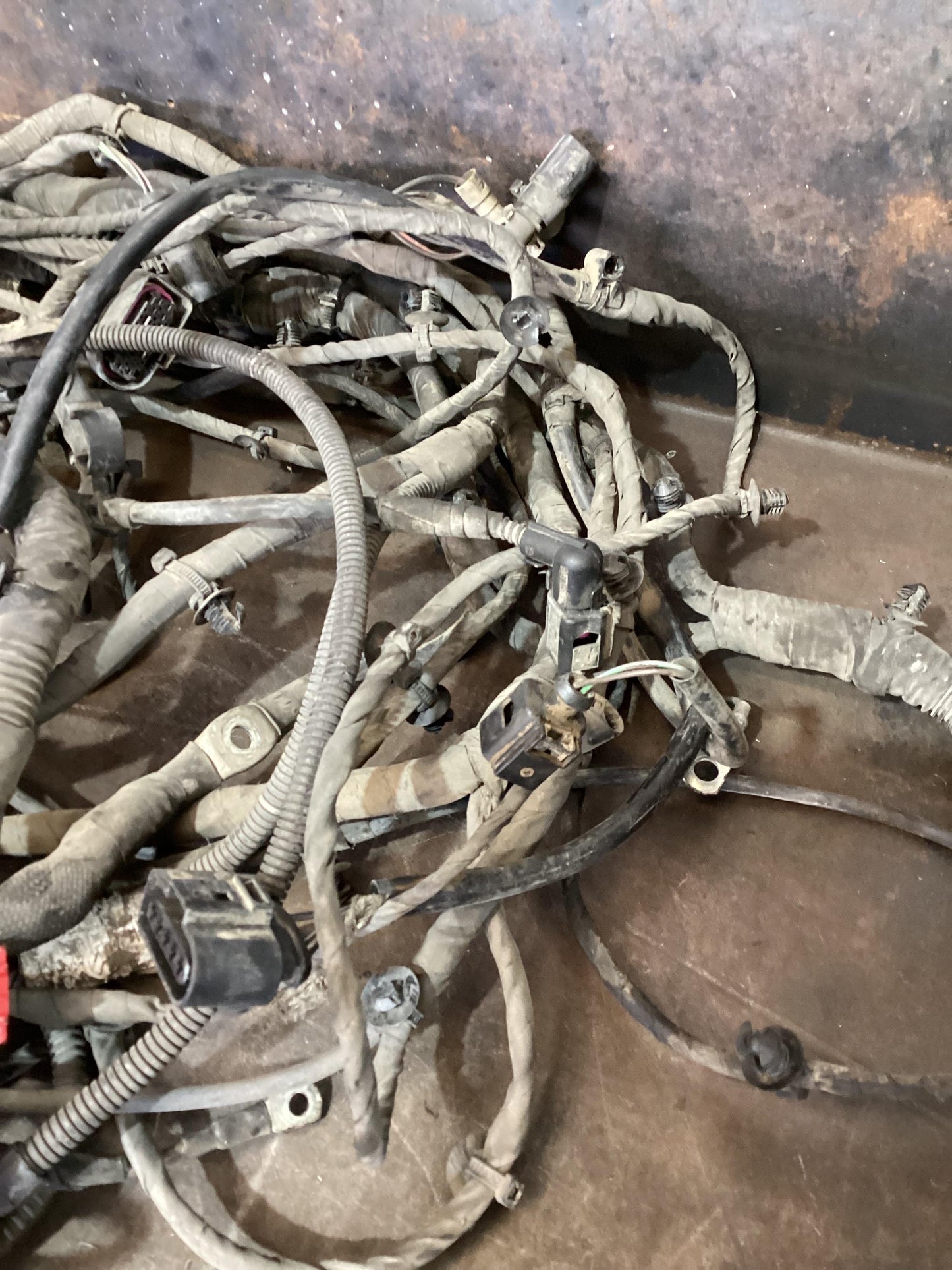 Volkswagen Amarok   Body Wiring Harness