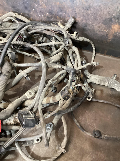 Volkswagen Amarok   Body Wiring Harness