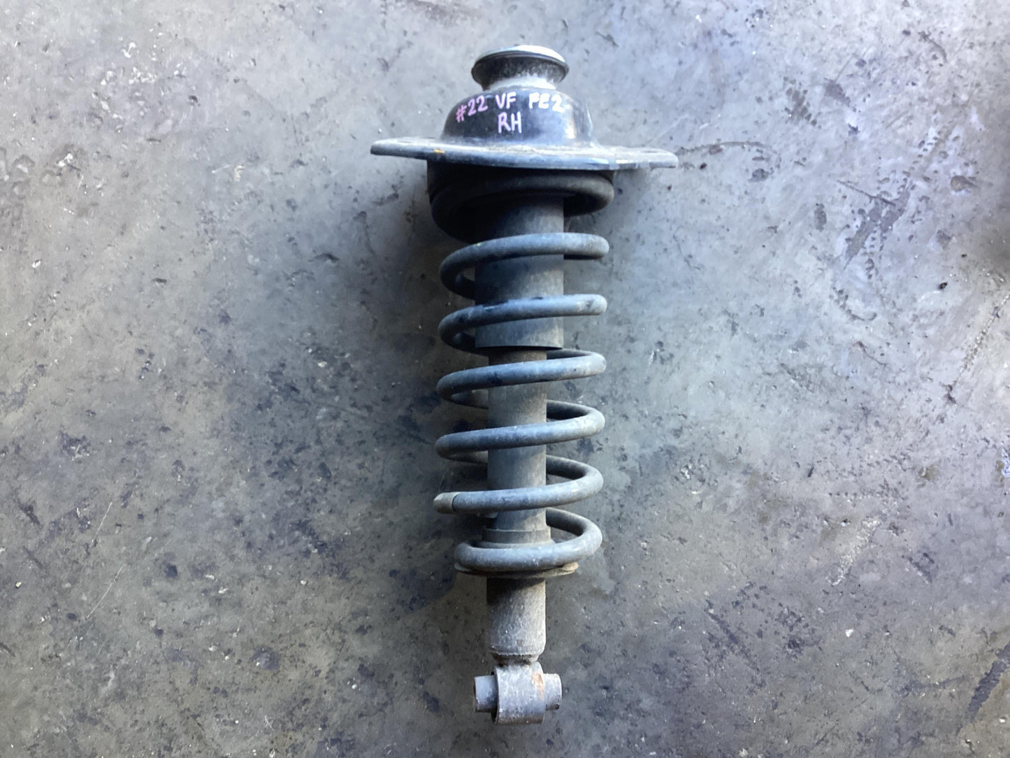 2016 - 2016 Holden Commodore Commodore  Right Rear Strut FE2