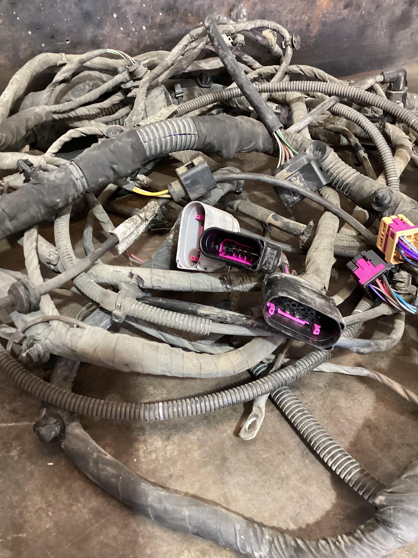 Volkswagen Amarok   Body Wiring Harness