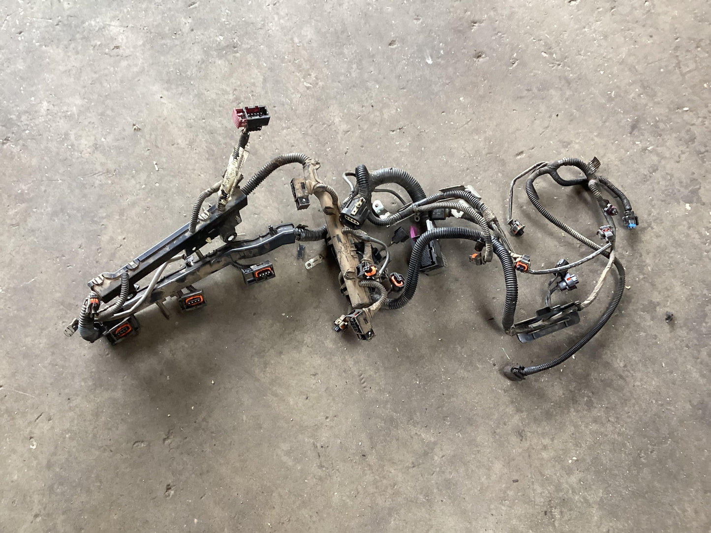 2004 - 2006 Holden Commodore VZ  Engine Wiring Harness 92172069