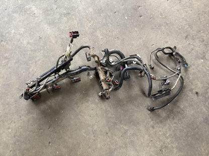 2004 - 2006 Holden Commodore VZ  Engine Wiring Harness 92172069