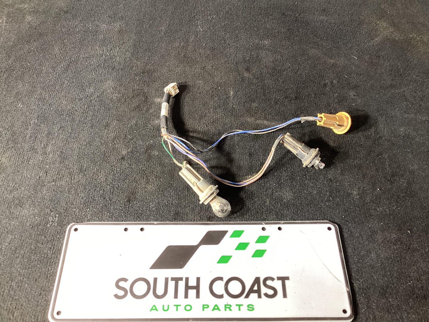 Holden Commodore VU  Lamp Wiring Harness