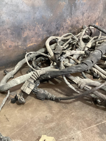 Volkswagen Amarok   Body Wiring Harness