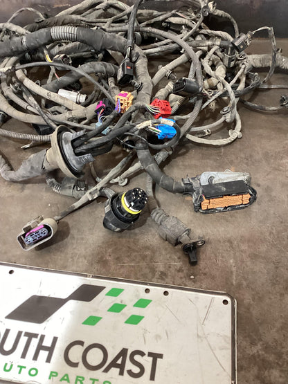 Volkswagen Amarok   Body Wiring Harness