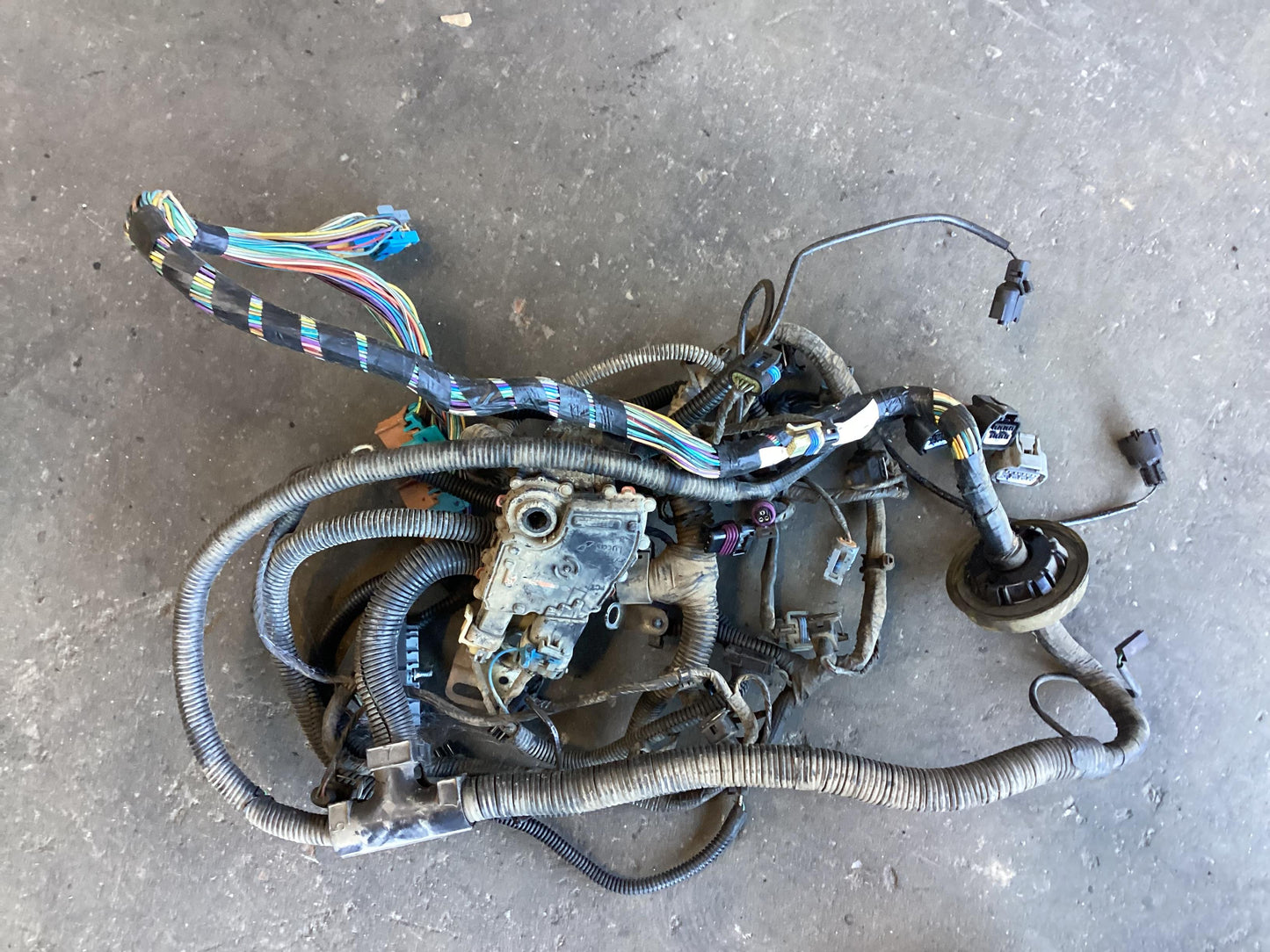 2000 - 2002 Holden Commodore VX  Engine Wiring Harness 92081630