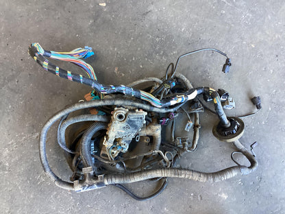 2000 - 2002 Holden Commodore VX  Engine Wiring Harness 92081630