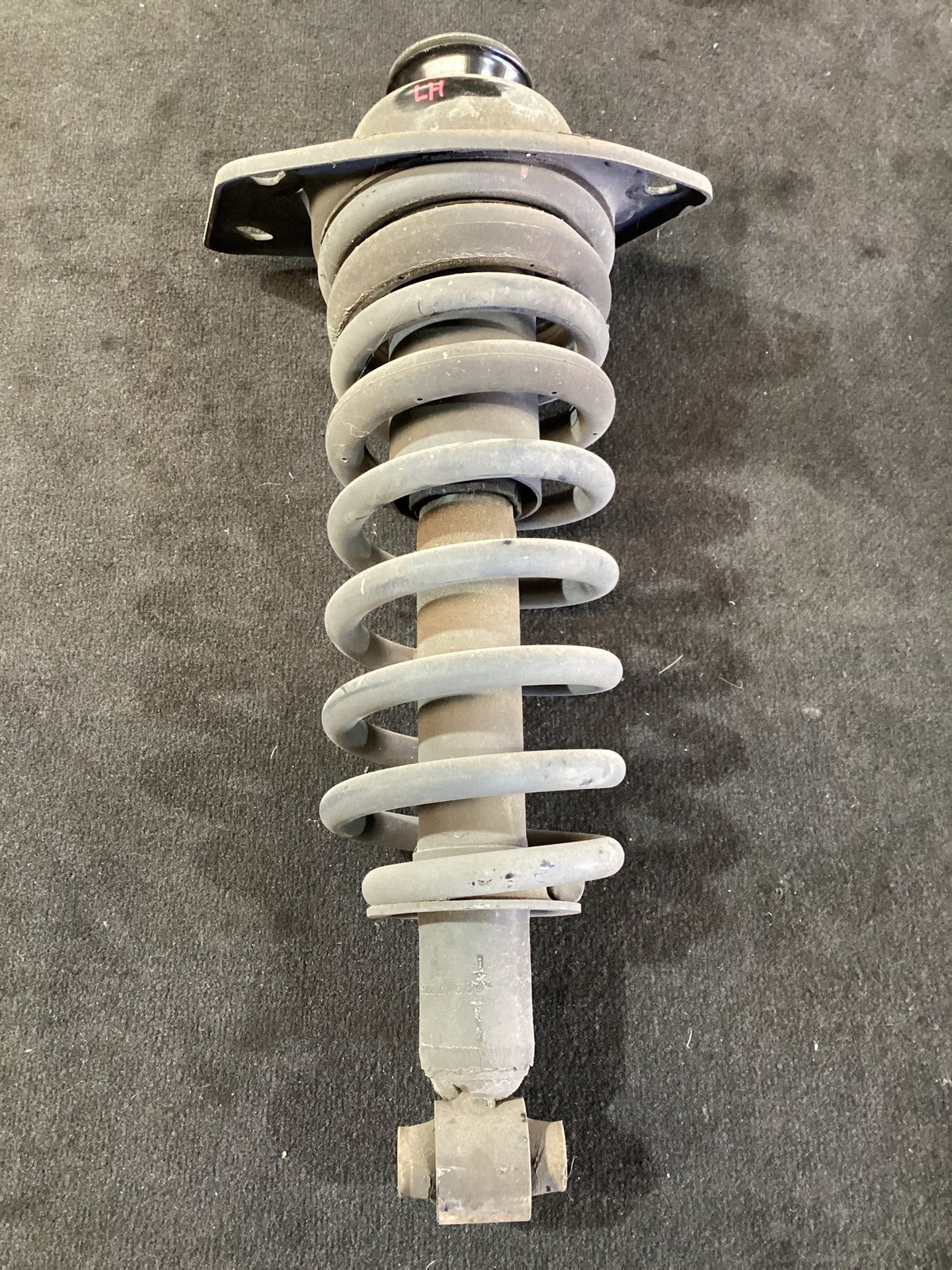 2010 Holden Statesman WM Left Rear Strut WMLEFTREARSTRUTSTANDARDHEIGHT