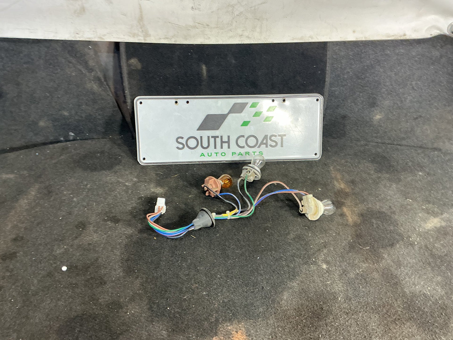 2002 Holden Commodore VY  Wiring Harness