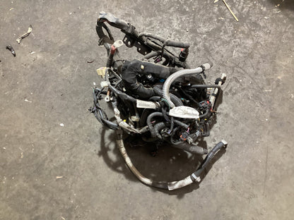 2006-2013 Holden Commodore VE Engine Wiring Harness 92261918