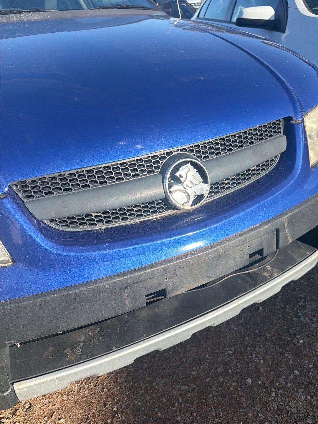 2005 Holden Adventra VZ 6G1ZM84785L518795 Bumper Grille
