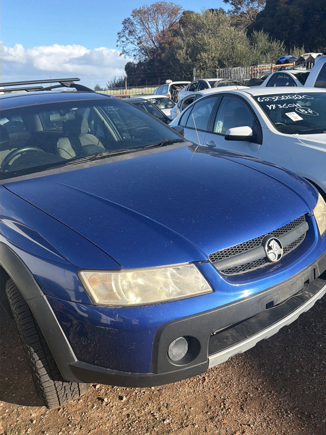 2005 Holden Adventra VZ 6G1ZM84785L518795 Bonnet