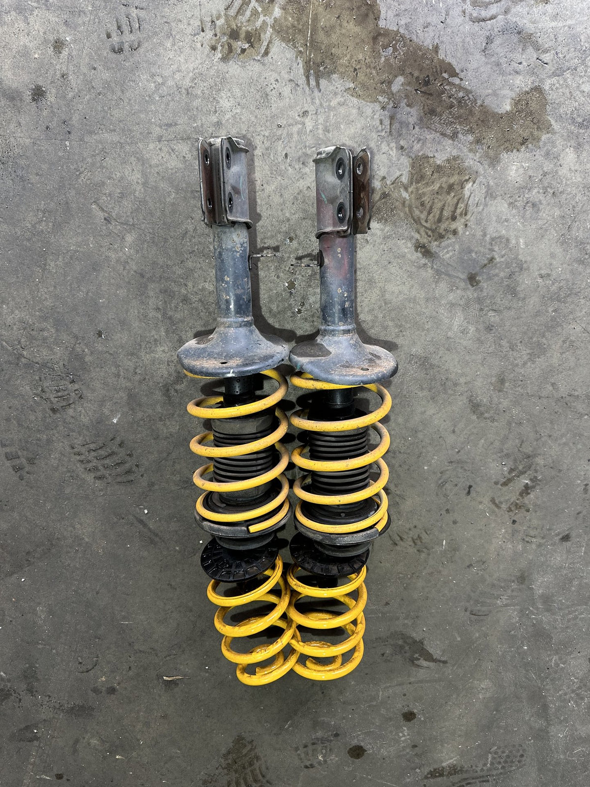 2006 Holden Commodore VZExecutive Strut Set