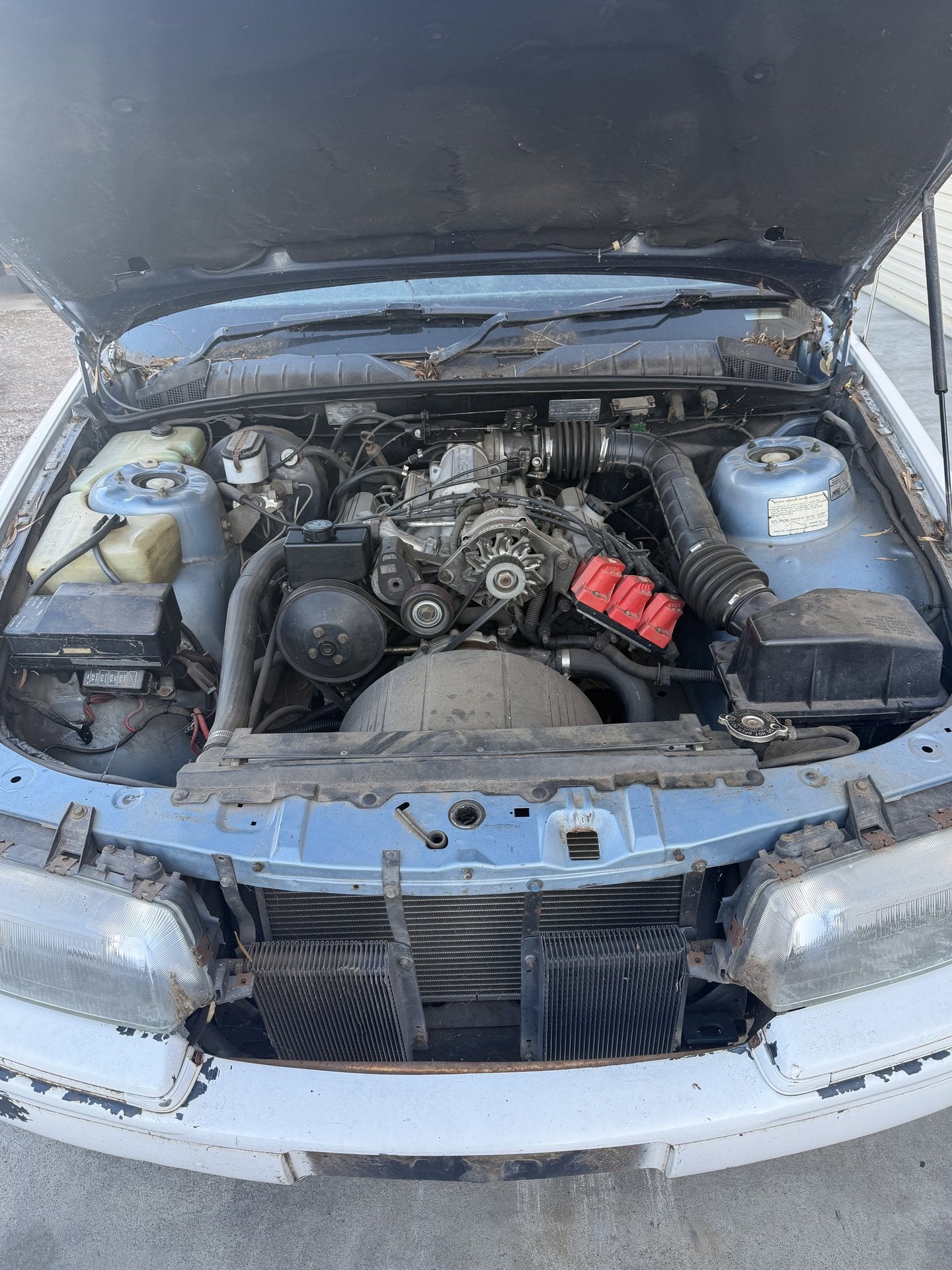 1992 Holden Commodore Executive VP White