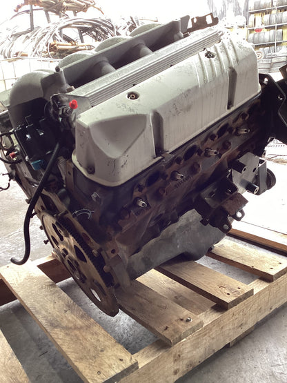 1990 Holden Statesman VQ 6H8VSY19UML459969 Engine