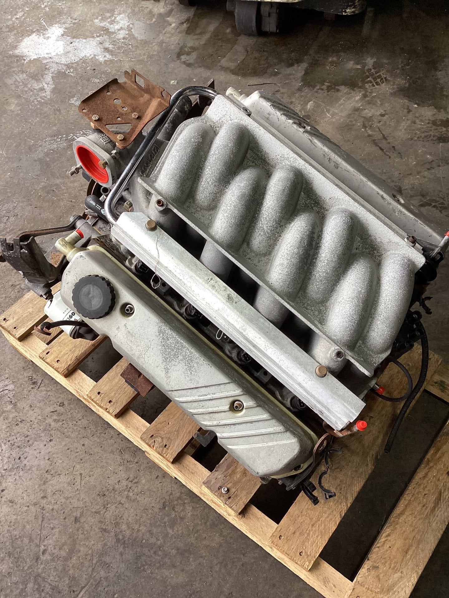 1990 Holden Statesman VQ 6H8VSY19UML459969 Engine