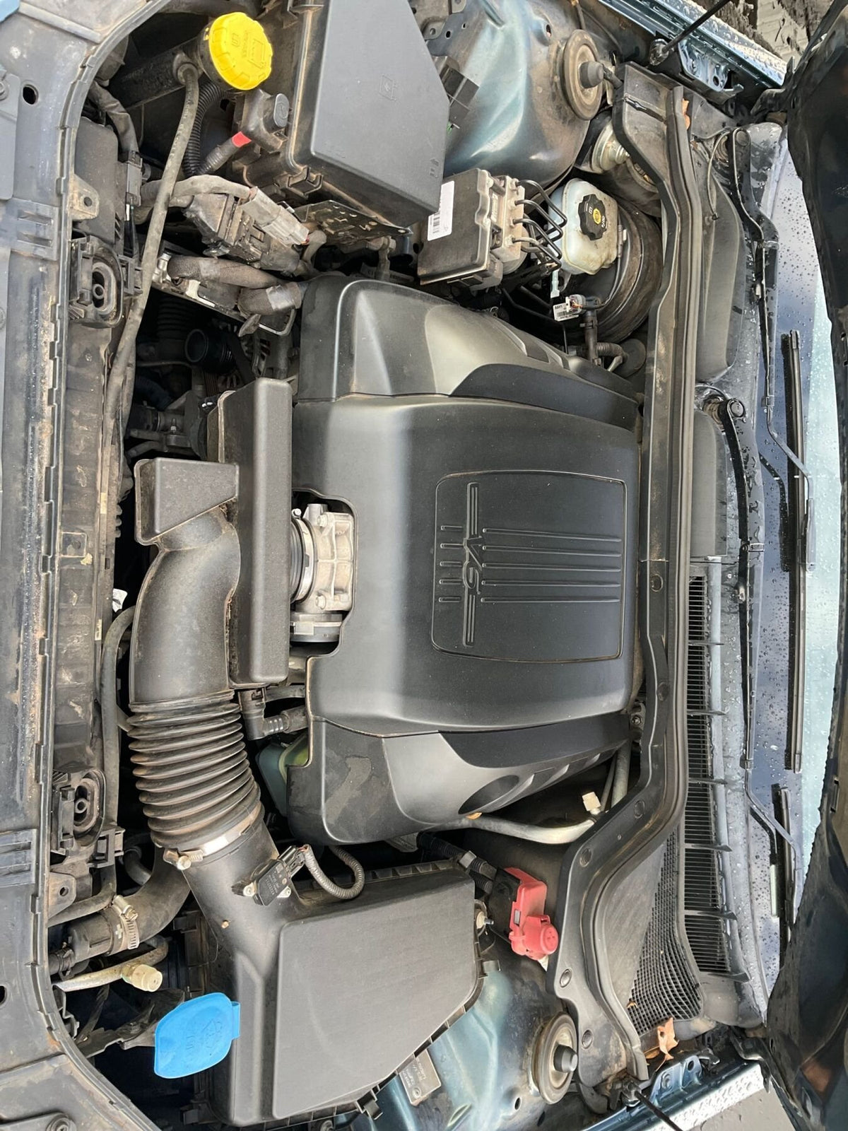 2011 Holden Commodore Transmission 24245034