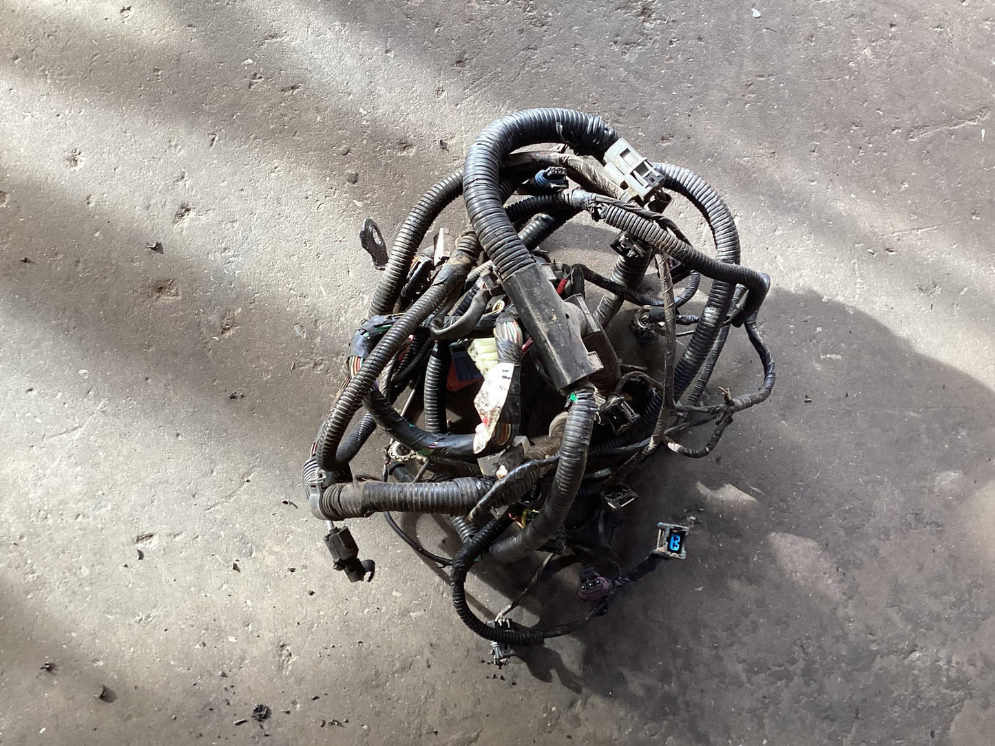 2002 - 2003 Holden Commodore VS  Engine Wiring Harness 92059619